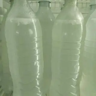 Hình ảnh Nước dừa chai - 1 lít