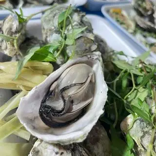Hình ảnh Hàu hấp mọng nước