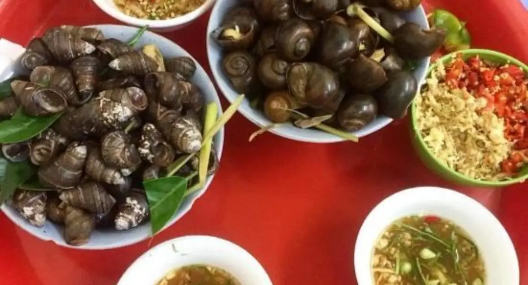 Hình ảnh Ốc luộc lẫn