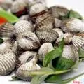 Hình ảnh Sò huyết nướng mọi