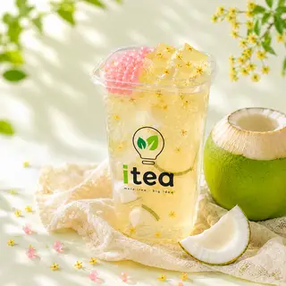 Hình ảnh Dừa Mật Quế Hoa