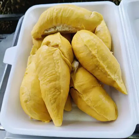 Hình ảnh Tiệm Sầu Nhỏo - Nguyễn Thượng Hiền