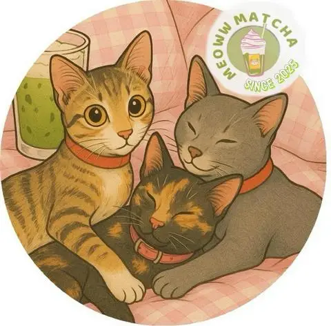 Hình ảnh Meoww Matcha - Đường Số 13