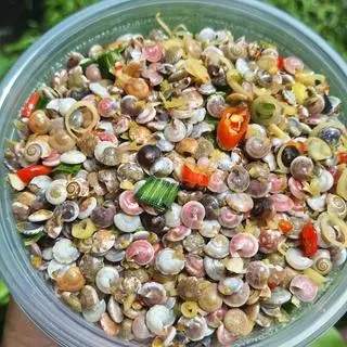 Hình ảnh 2 hộp ốc ruốc xào sả ớt 1kg