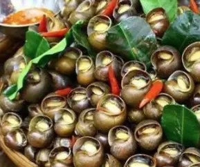 Hình ảnh Ốc bươu hấp sả