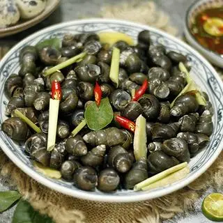 Hình ảnh Ốc nhỏ luộc mắm