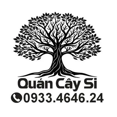 Hình ảnh Cà Phê Cây Si - Huỳnh Tấn Phát