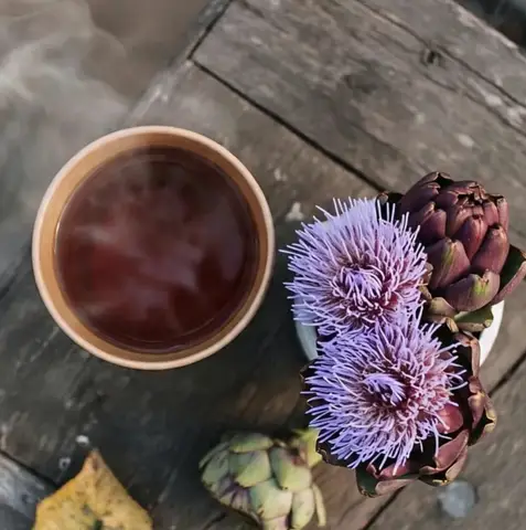 Hình ảnh Trà atiso