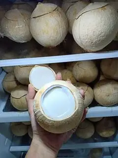 Hình ảnh Rau câu trái dừa