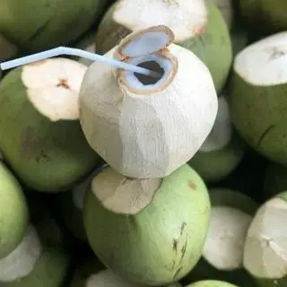 Hình ảnh Dừa ta