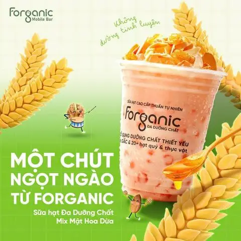 Hình ảnh Sữa Hạt Forganic - Bùi Tư Toàn
