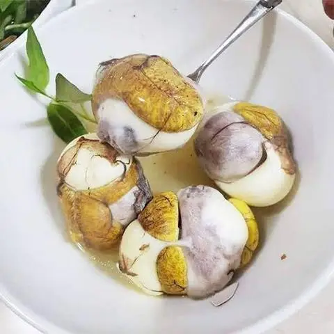 Hình ảnh Cá Viên Chiên & Hột Vịt Lộn BB - Hoàng Dư Khương
