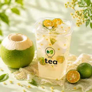Hình ảnh Dừa Kim Quất
