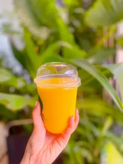 Hình ảnh Sinh tố đu đủ