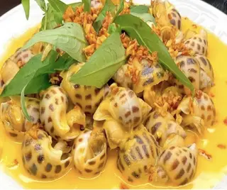 Hình ảnh Ốc Hương 