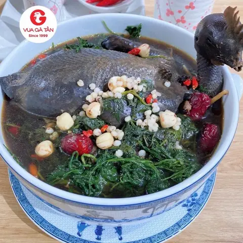 Hình ảnh Vua Gà Tần - Gà Tần Gia Bảo - Cộng Hòa