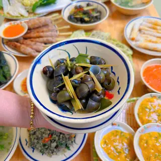 Hình ảnh Ốc hút