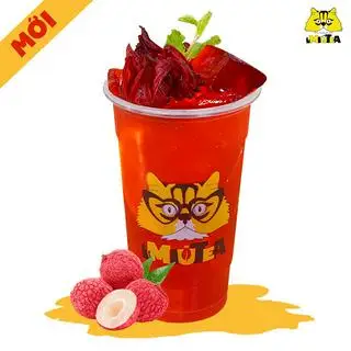 Hình ảnh Hibiscus Vải - Size L