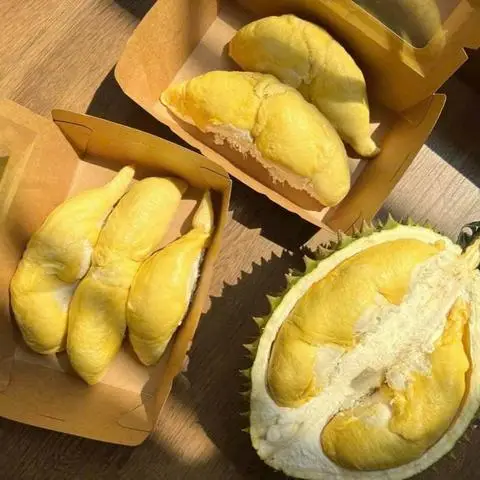 Hình ảnh Sầu Riêng 123 - Gò Dầu