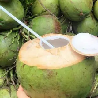 Hình ảnh Dừa xiêm