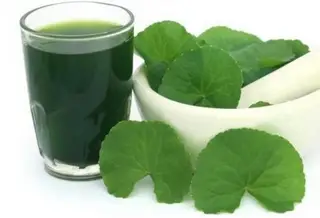 Hình ảnh Rau má nguyên chất
