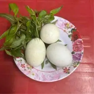 Hình ảnh Hột vịt lộn luộc nước dừa