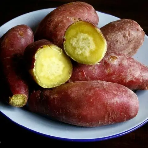 Hình ảnh Khoai Lang Quán - Nguyễn Tư Giản