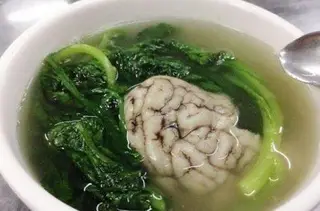 Hình ảnh Óc trần ngải cứu