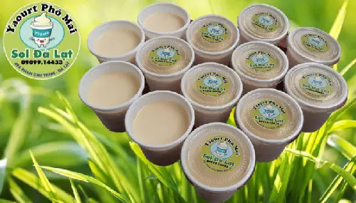 Hình ảnh SOL ĐÀ LẠT - Sữa Chua Yaourt Và Đặc Sản - Cách Mạng Tháng 8