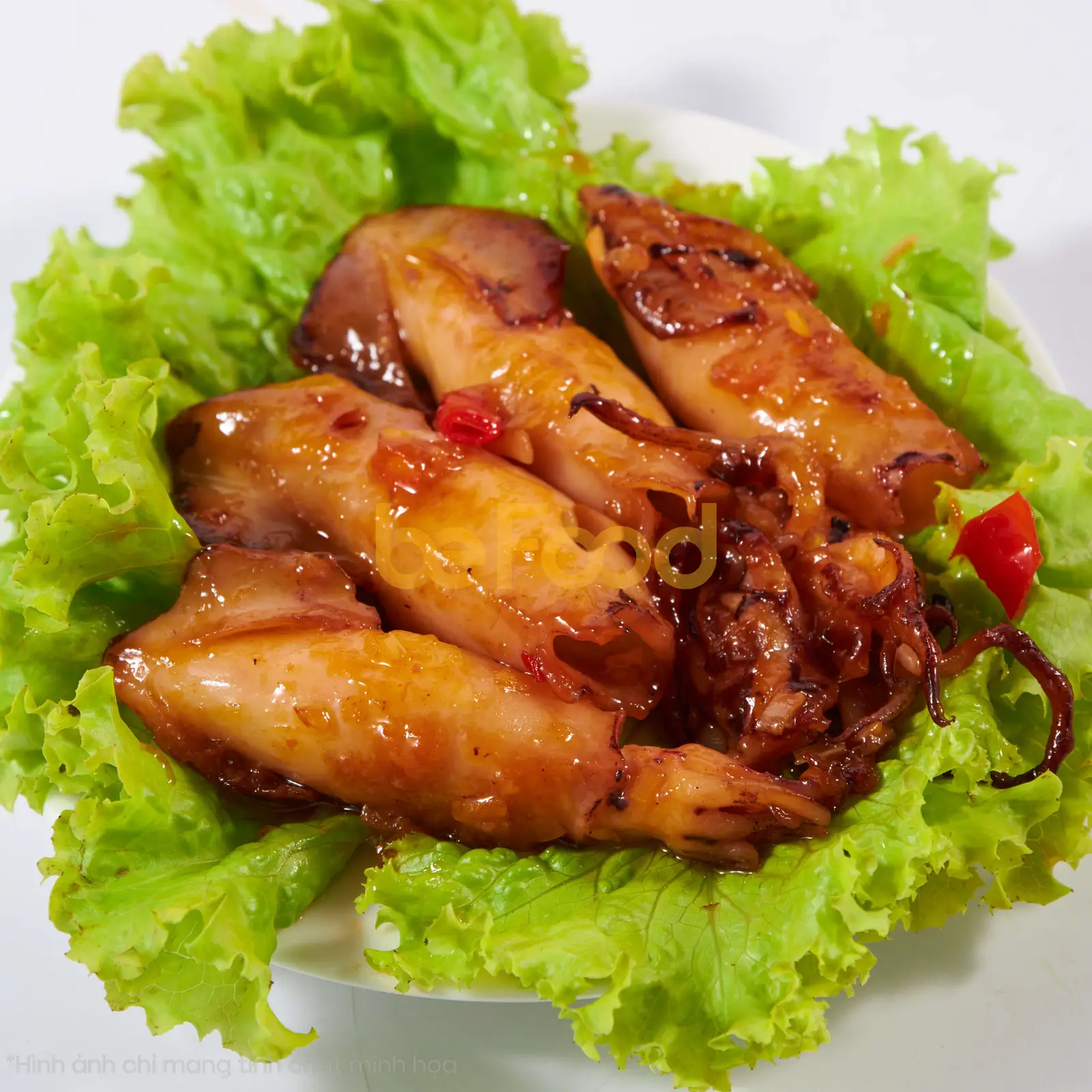 Hình ảnh Mực mắm tắc - 1 con