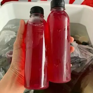 Hình ảnh Tía tô nha đam hạt chia