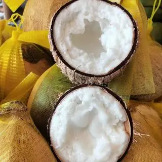 Hình ảnh Dừa sáp