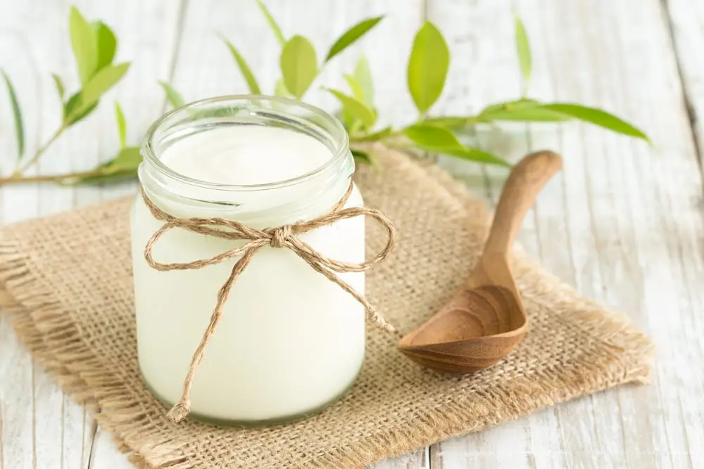 Hình ảnh Sữa chua dẻo