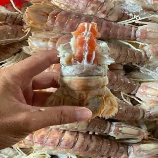 Hình ảnh Tôm tít hấp