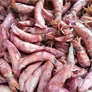 Hình ảnh Mực trứng hấp size nhỏ 500gr