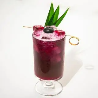 Hình ảnh Trà việt quất