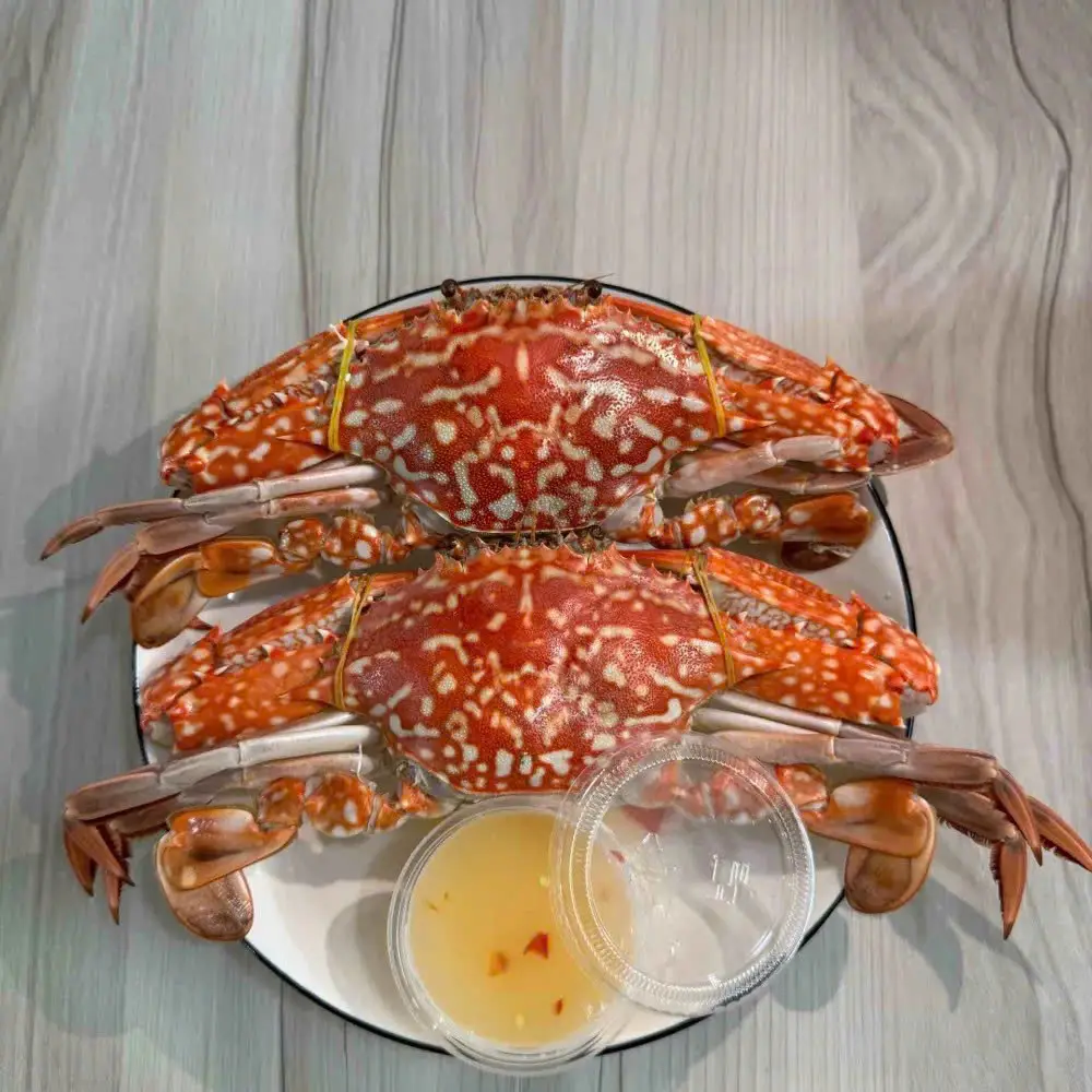 Hình ảnh 1 Ghẹ Biển Size Nhỏ - Size Nhỏ ( Loại 3 )