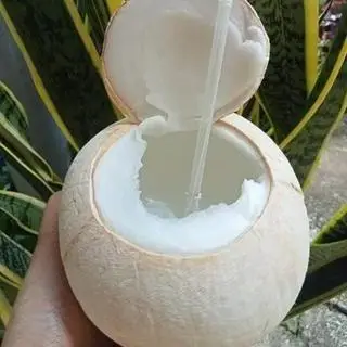 Hình ảnh Nước dừa xiêm Bến Tre