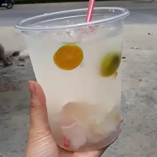 Hình ảnh Dừa tắc ly khổng lồ