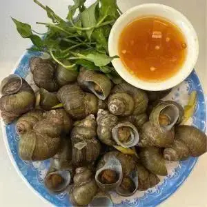 Hình ảnh Ốc Đắng Hấp Xả