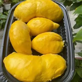 Hình ảnh Sầu ri 6 miền Tây cơm đỏ - 1kg
