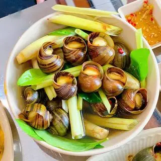 Hình ảnh Ốc mít hấp sả