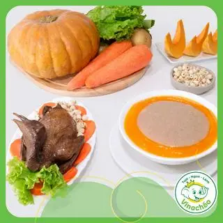 Hình ảnh Cháo chim câu hầm táo đỏ