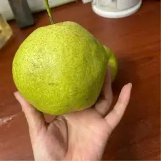 Hình ảnh Lê xanh ngọt cắt sẵn