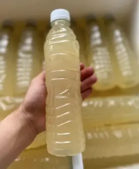 Hình ảnh Nước thốt nốt - chai 500ml