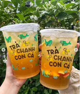Hình ảnh Trà Tắc Con Cá Siêu To Khổng Lồ