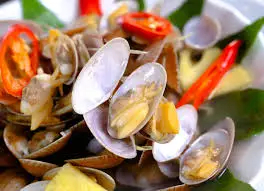 Hình ảnh Ngao trắng hấp thái