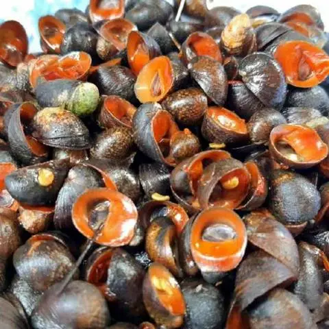 Hình ảnh 1 ỐC DỪA LUỘC MUỐI ỚT TẮC + 1 NGHIÊU HẤP XÃ