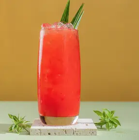 Hình ảnh NE01 Ép Dưa Hấu