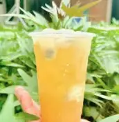 Hình ảnh Trà mãng cầu